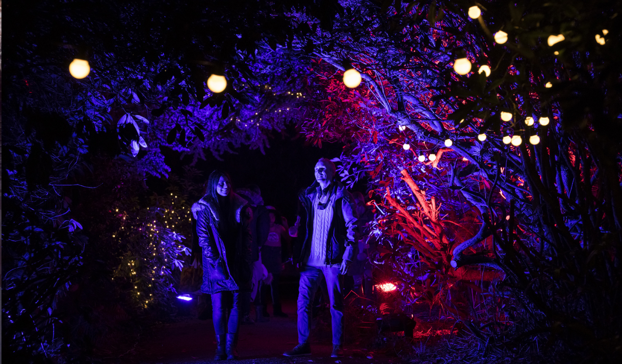 A couple enjoy the pretty lights at Enchanted Eltham Palace